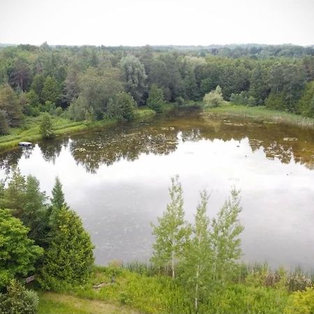 Cottage Retreat On 11 Acres Flesherton エクステリア 写真