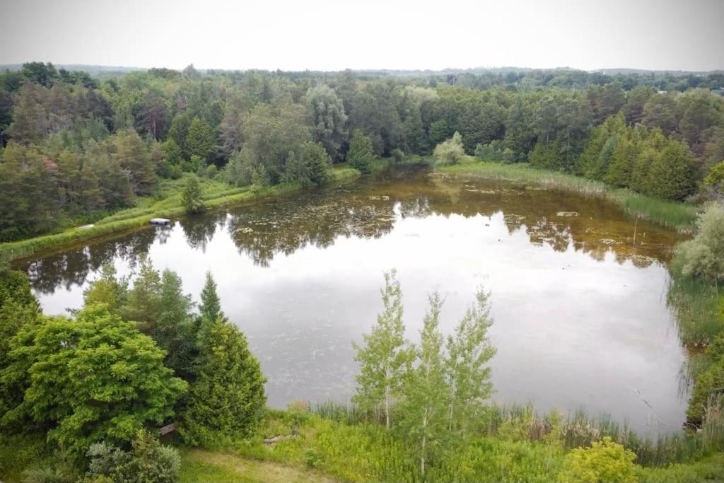Cottage Retreat On 11 Acres Flesherton エクステリア 写真